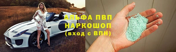 бошки Белокуриха