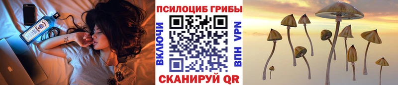 Псилоцибиновые грибы MAGIC MUSHROOMS  Купить где  Приморск 